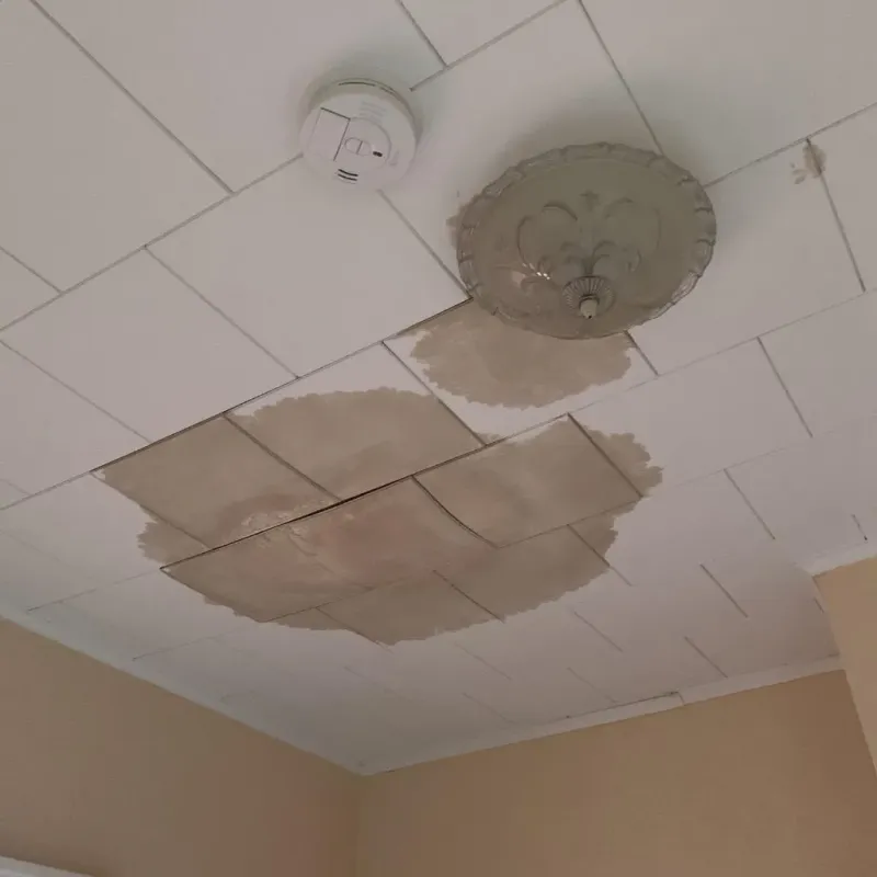 Ceiling Water Damage Repair in Hybla Valley, VA