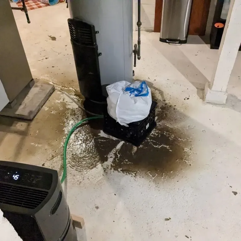 Sewage Backup Cleanup Service in Hybla Valley, VA